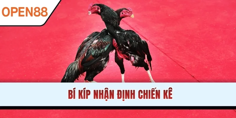 Bí kíp nhận định chiến kê