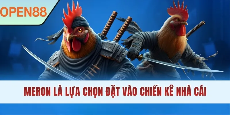 Meron là lựa chọn đặt vào chiến kê nhà cái