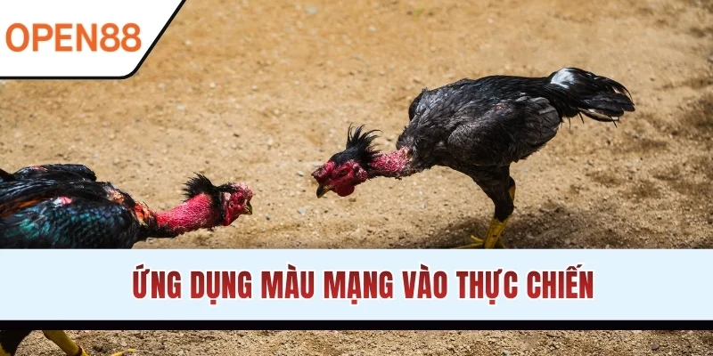 Ứng dụng màu mạng vào thực chiến